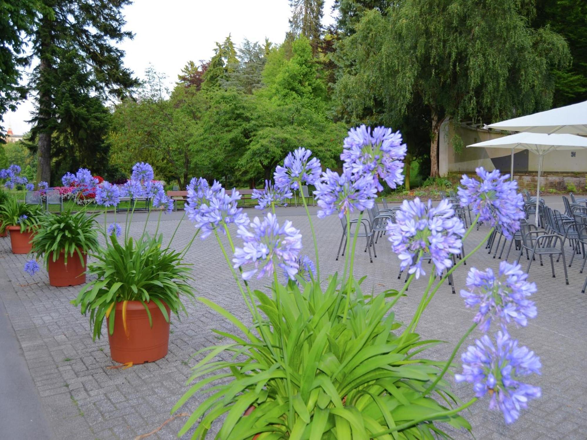 Charming Apartment With Private Terrace Bad Wildungen Exterior photo